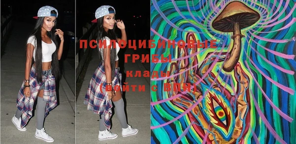 Альфа ПВП Ельня