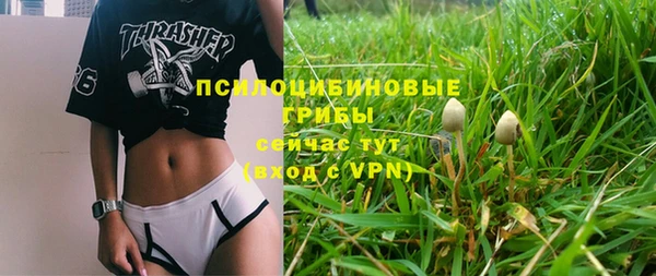 герыч Елабуга