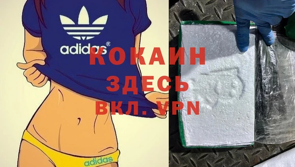 Альфа ПВП Ельня