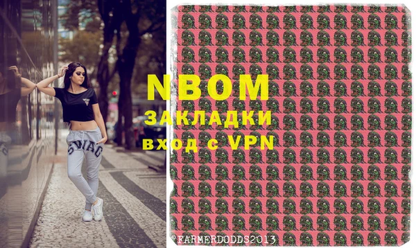 шишки Дмитров