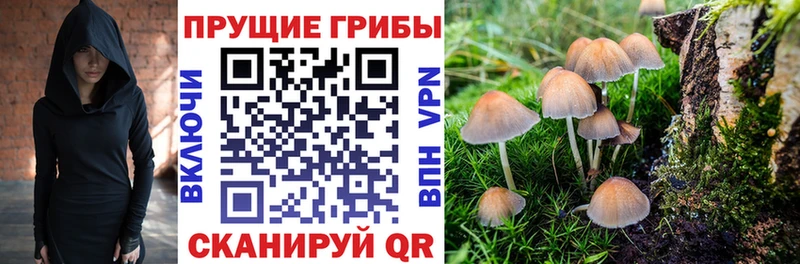 Галлюциногенные грибы мухоморы Купить Никольское